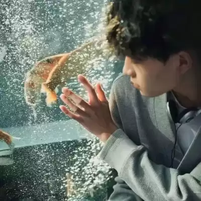 秦明凝